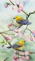 100-190 Prothonotary Warbler